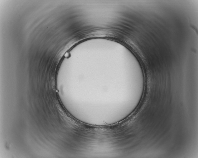 X0000102791465200808180943