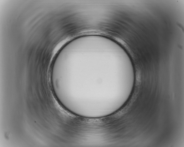 X0000102791466200808180943