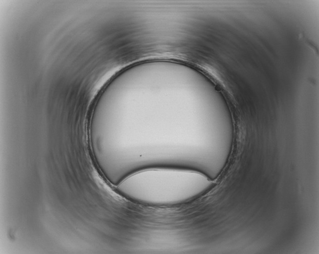 X0000102791468200808180943