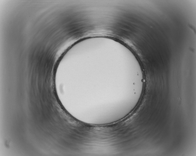 X0000102791469200808180943