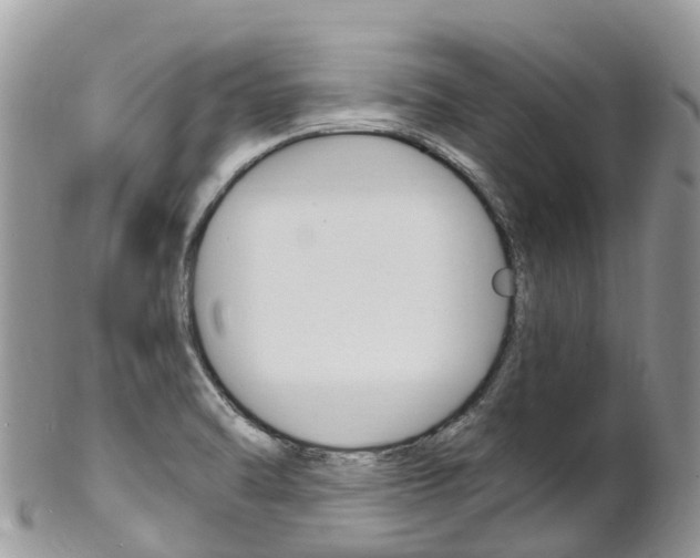 X0000102791470200808180943