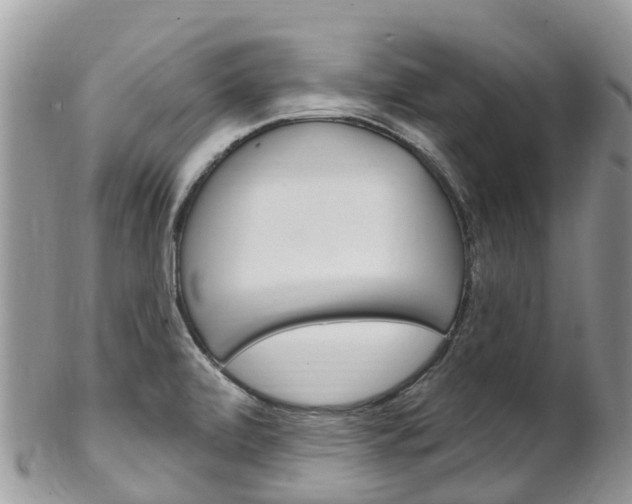 X0000102791472200808180943