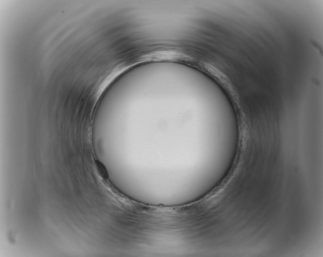 X0000102791473200808180943
