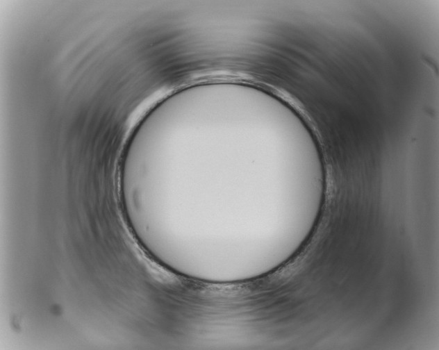 X0000102791474200808180943