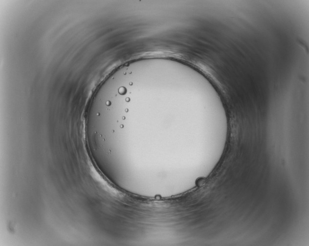 X0000102791476200808180943