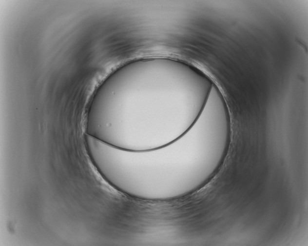 X0000102791477200808180943