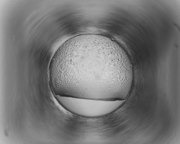 X0000102791479200808180943