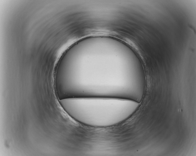 X0000102791480200808180943