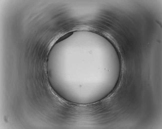 X0000102791481200808180943