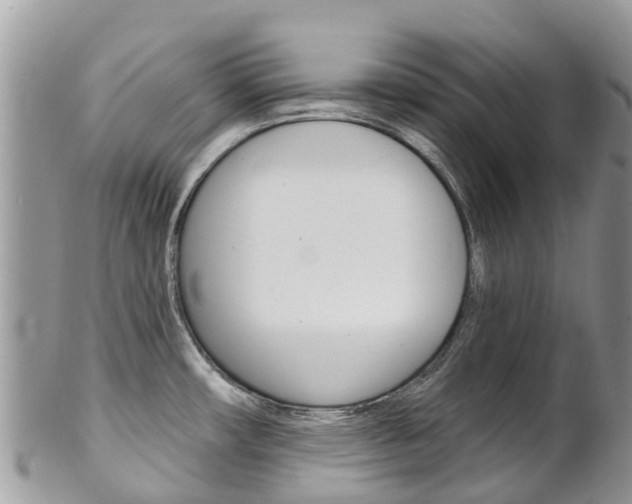 X0000102791482200808180943