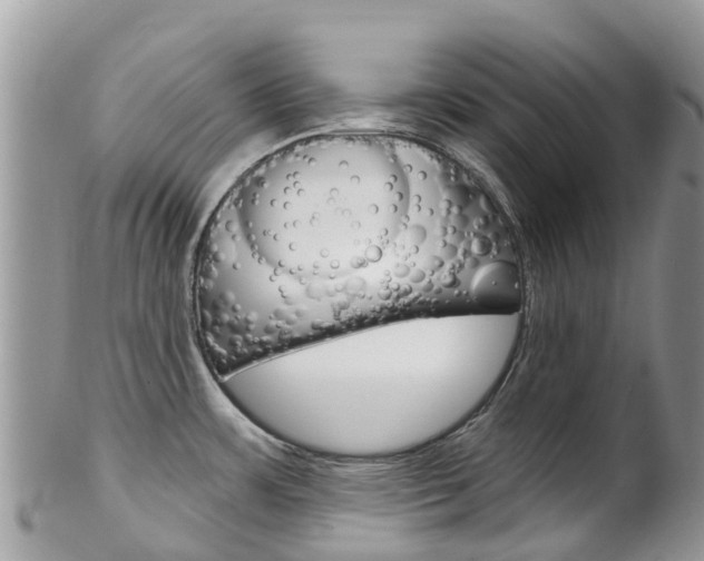 X0000102791483200808180943