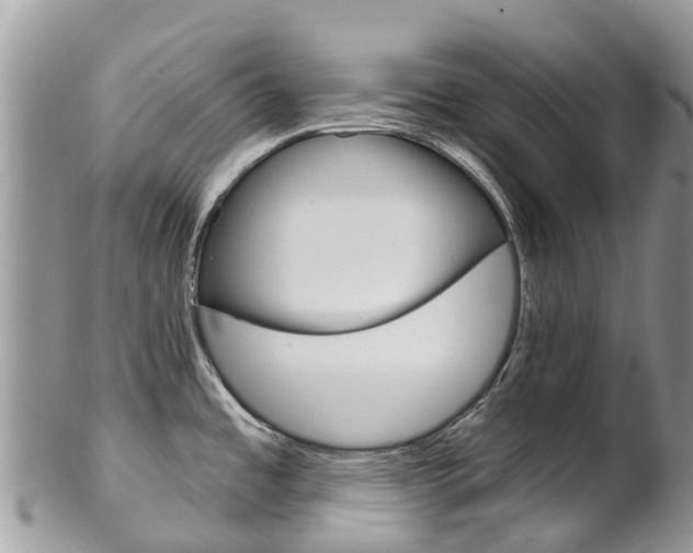 X0000102791485200808180943