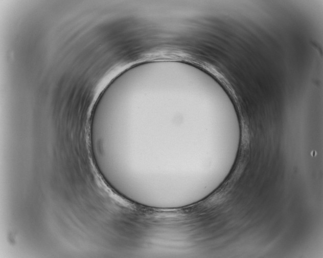 X0000102791486200808180943