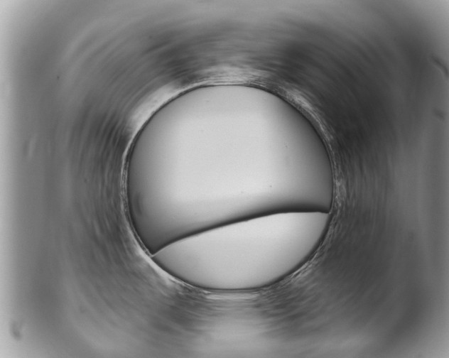X0000102791487200808180943