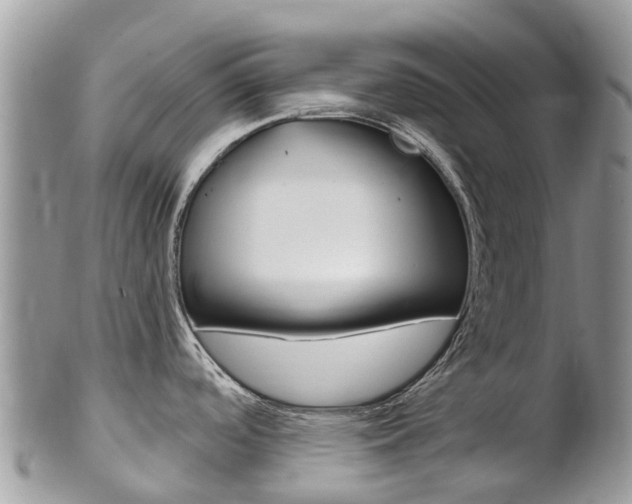 X0000102791488200808180943