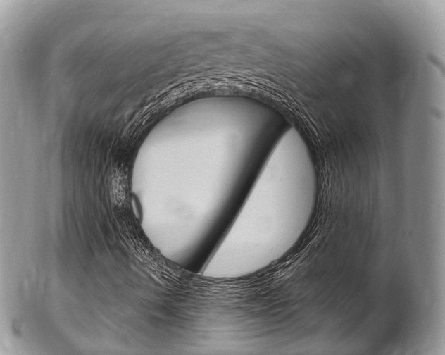 X0000102791490200808180942