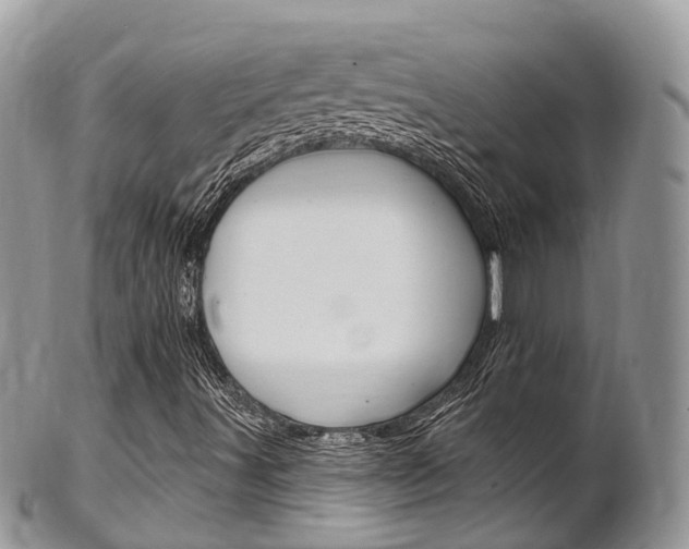 X0000102791491200808180942