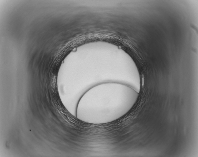 X0000102791492200808180942