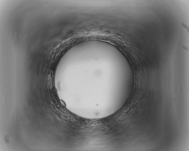X0000102791493200808180942