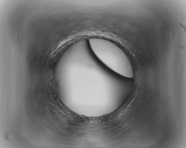 X0000102791494200808180942