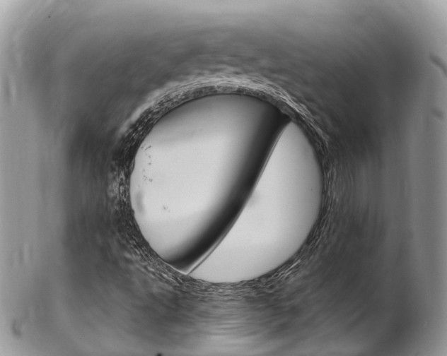 X0000102791495200808180942