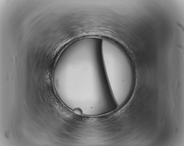 X0000102791497200808180942