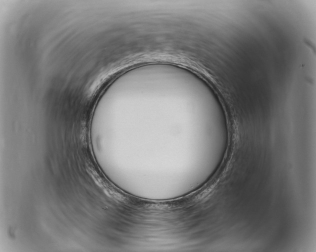 X0000102791499200808180942