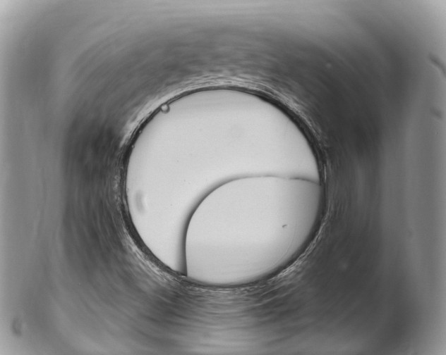 X0000102791500200808180942