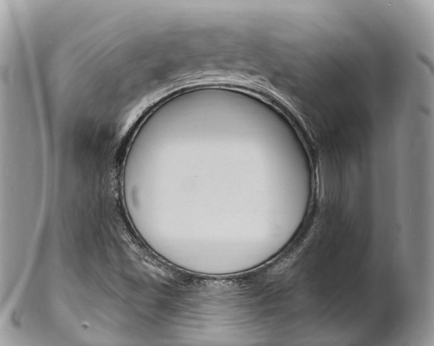 X0000102791501200808180942