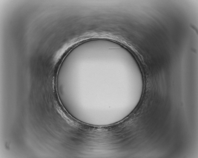 X0000102791503200808180942