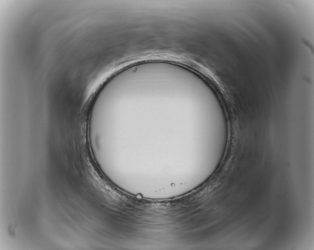 X0000102791504200808180942