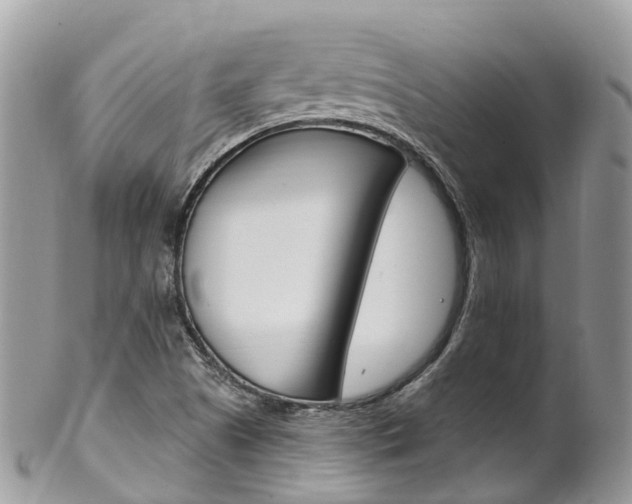 X0000102791505200808180942