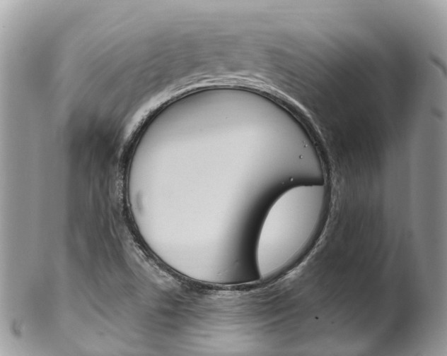 X0000102791506200808180942