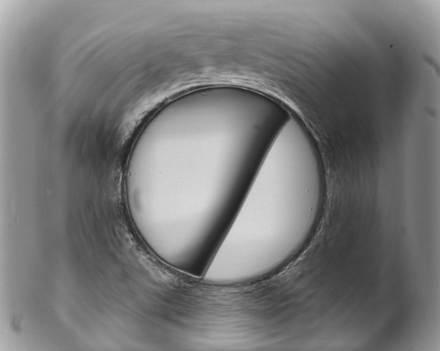 X0000102791507200808180942