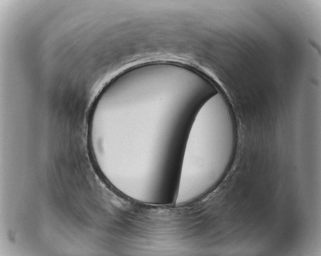 X0000102791508200808180942