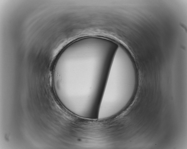 X0000102791509200808180942