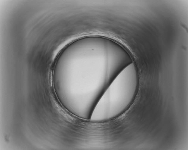 X0000102791510200808180942