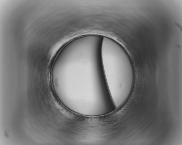 X0000102791511200808180942