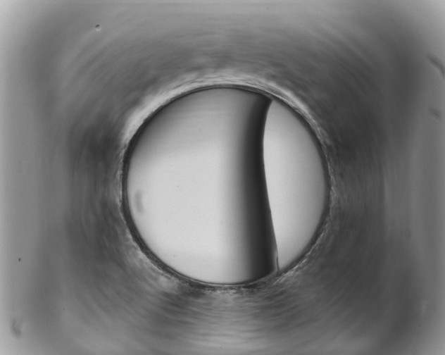 X0000102791512200808180942