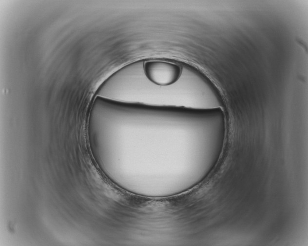 X0000102791513200808180942