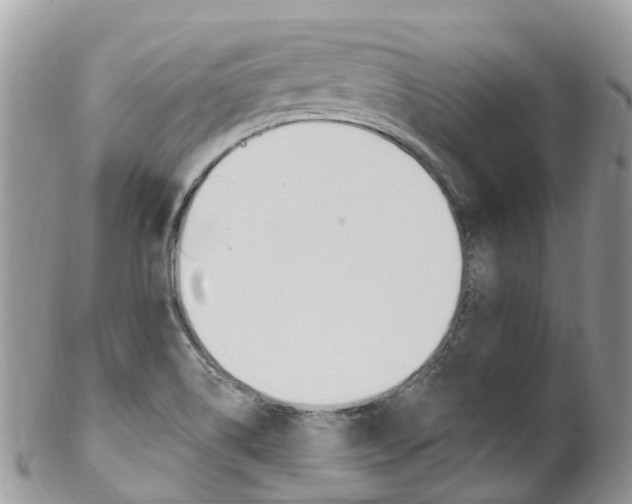 X0000102791514200808180942