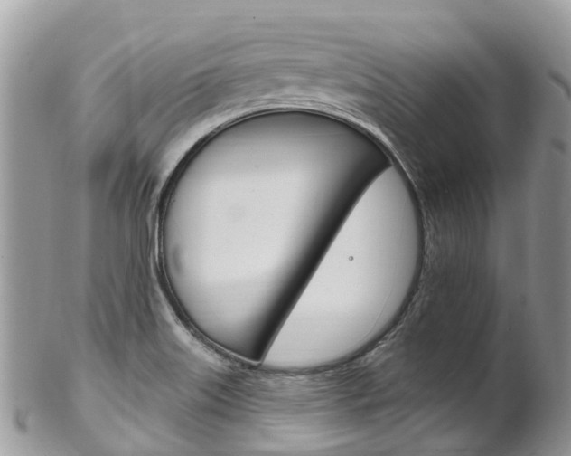 X0000102791515200808180942