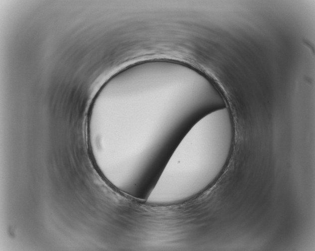 X0000102791516200808180942