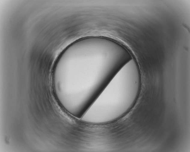 X0000102791517200808180942