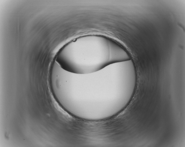 X0000102791518200808180942
