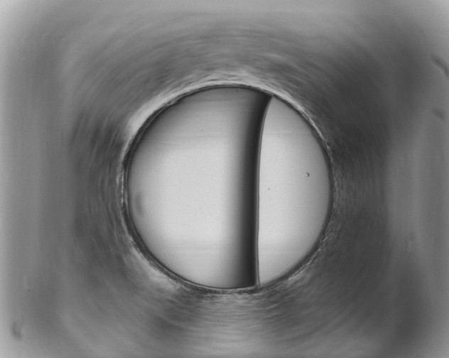X0000102791519200808180942