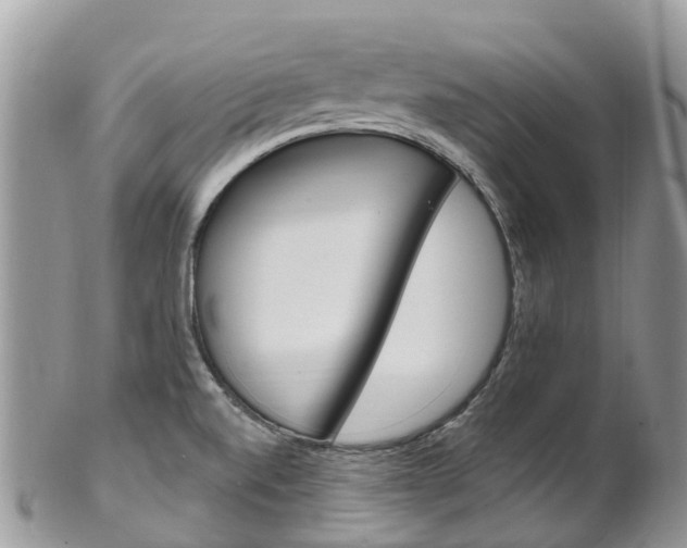 X0000102791520200808180942