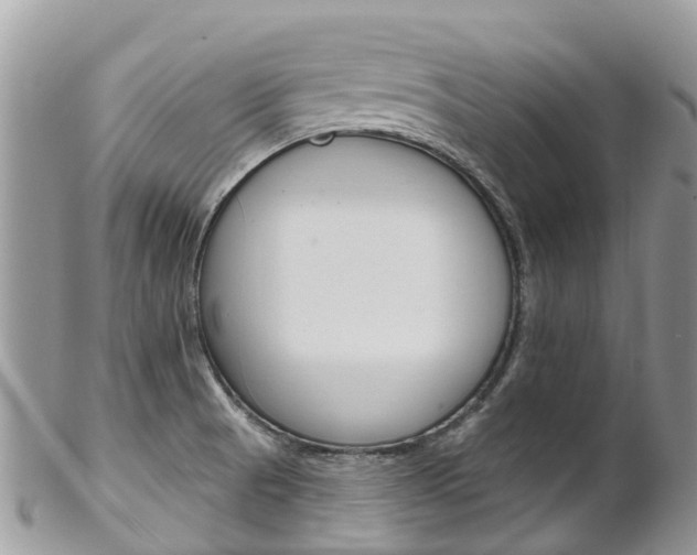 X0000102791521200808180942