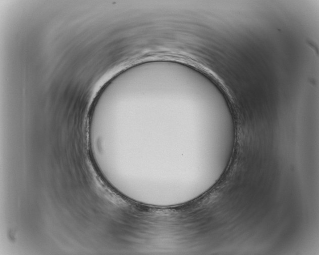 X0000102791522200808180942