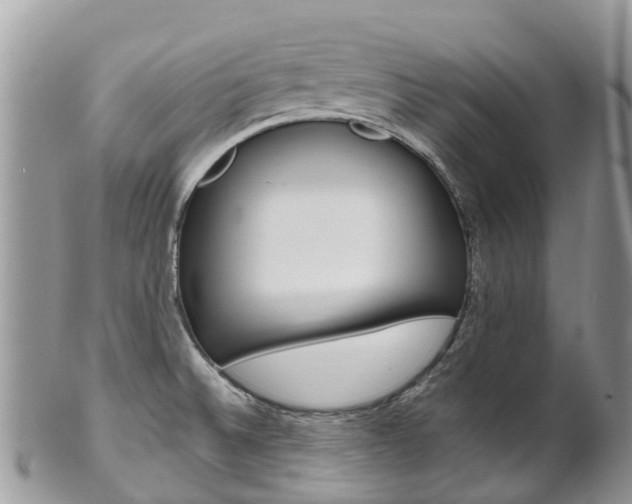 X0000102791524200808180942